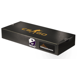 DreamHack 2014 Cobblestone
